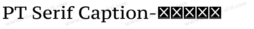 PT Serif Caption字体转换